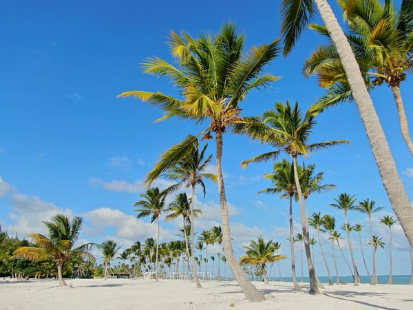 Réservez facilement votre coin d'ombre en ligne : astuces et conseils pratiques !